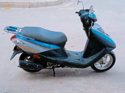 هوندا نقية