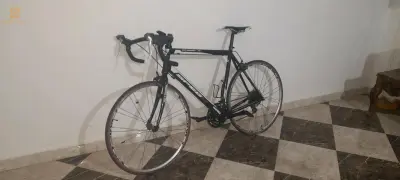 السانية