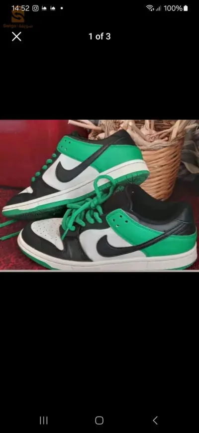 nike sb dunk low pro 43