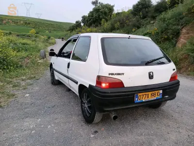 106