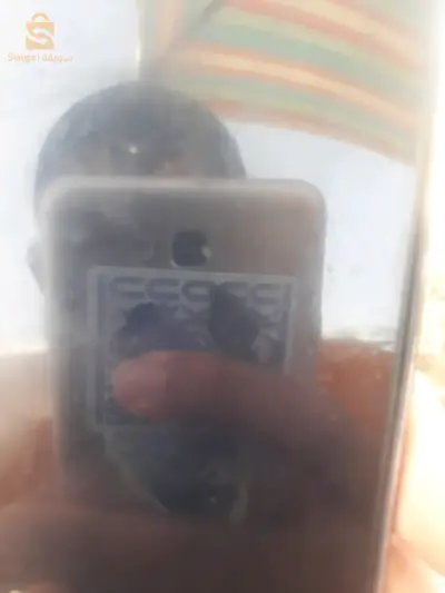 الجزائر