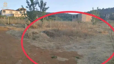 ارض عقد جماعي في عطارد  بلدية منصورة ولاية تلمسان