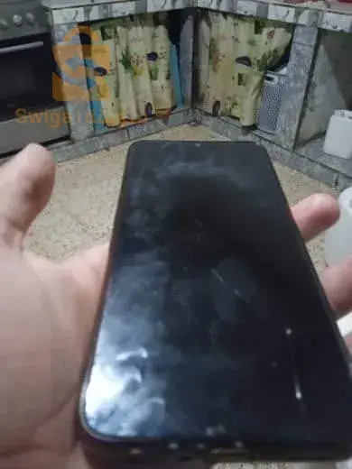 relizan
