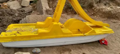 رايس حميدو