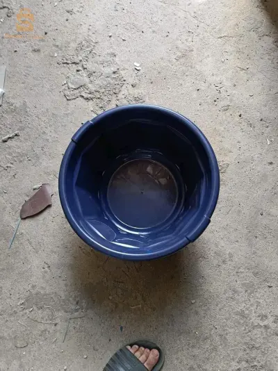مليانة