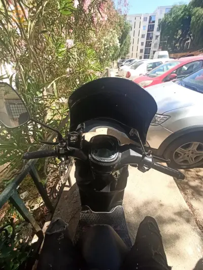 cuxi esteta x 2021