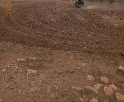 عين وسارة