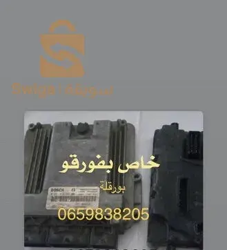 بورقلة