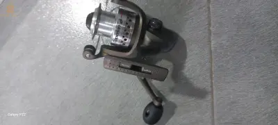 تنس