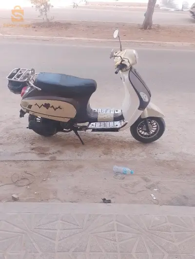 روما 2019 كارت غريس كولش قانون