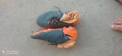 قايس