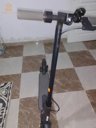 جميع المعلومات في الصورة
