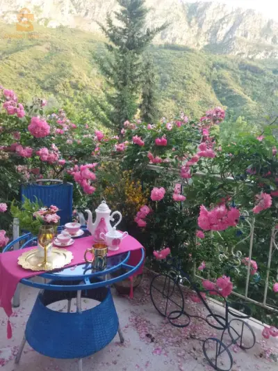 maison a louer jijel