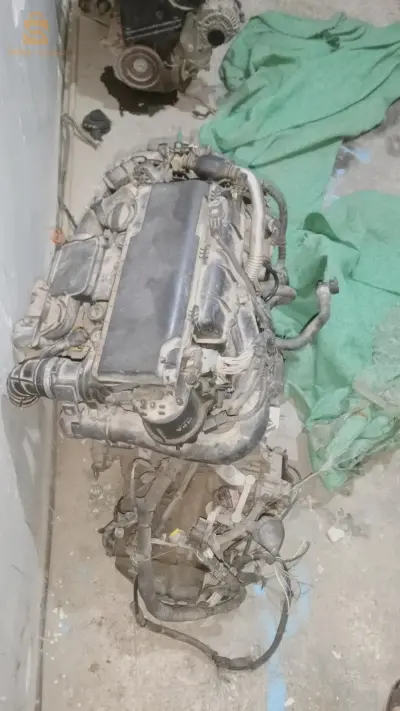 بريكة
