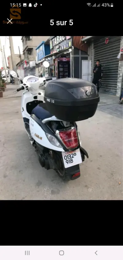 فيدال 3