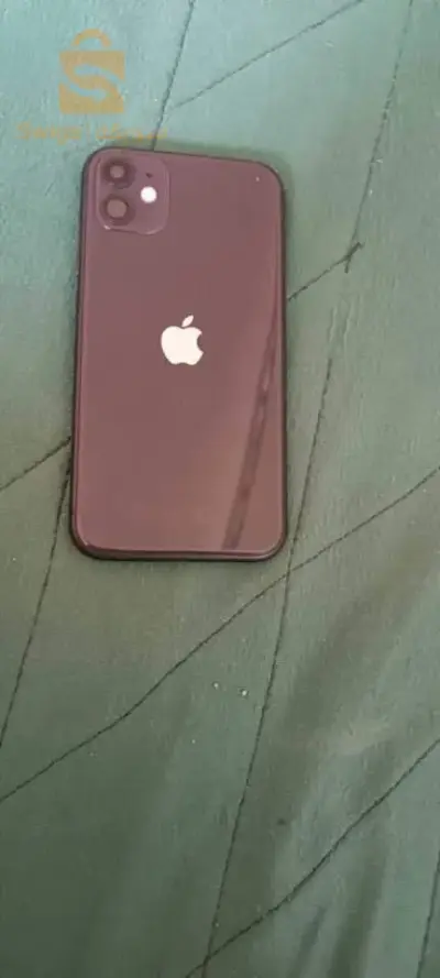 BaTri 100