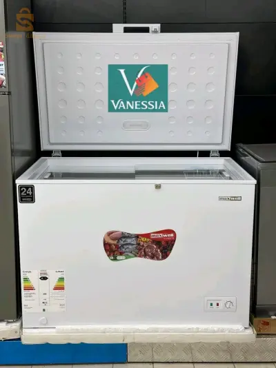 Congélateur Maxwell 200l