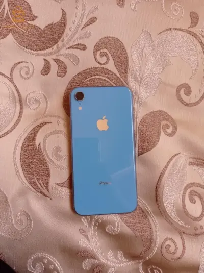 xr