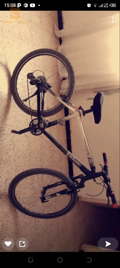 bitwin rockrider 42
