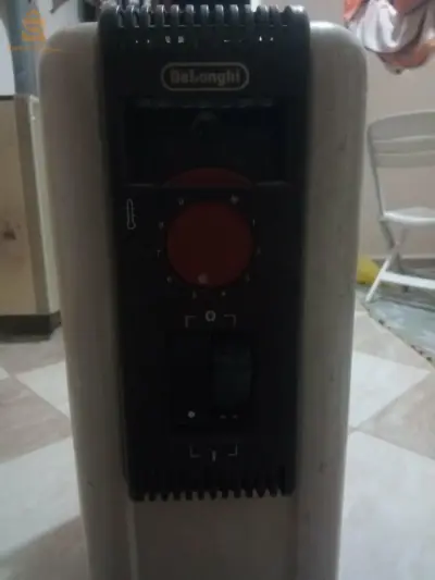الشط