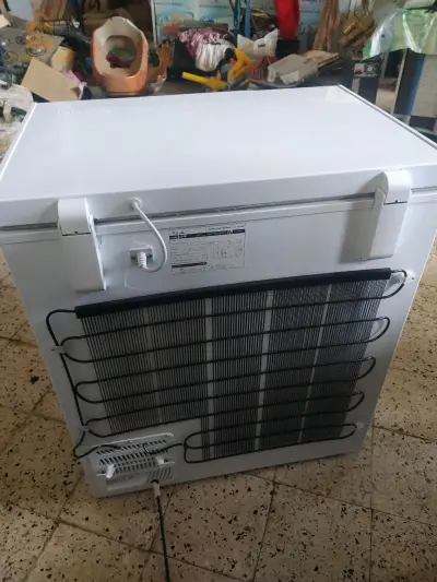 بيع مجمد