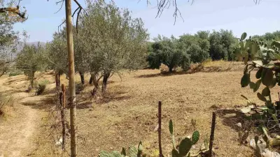 قطعة ارض للبيع مساحة 1600متر افتيس بوعزيز بلدية بوجليل ولاية بجاية الوثائق عقد ملكية فيها الغاز الكهرباء الماء منطقة سكانية
