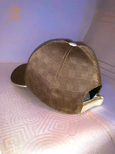 كاسكيط Louis Vuitton