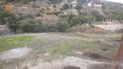 مع دخول بلدية لرهاط