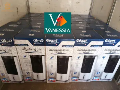 Air cooler marque géant 12L