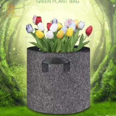 حقيبة زرع زهور بطاطة