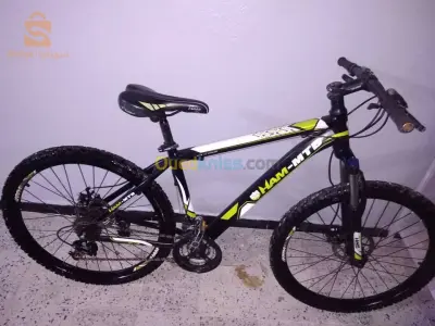 Velo ham. Chbeb