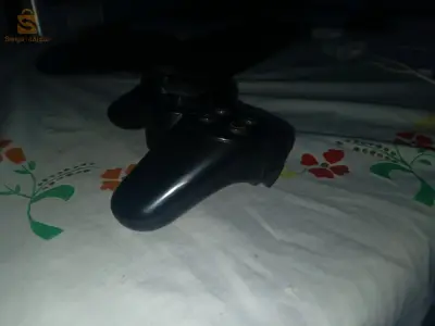 ...........