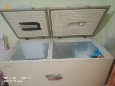 كونجيلاتور