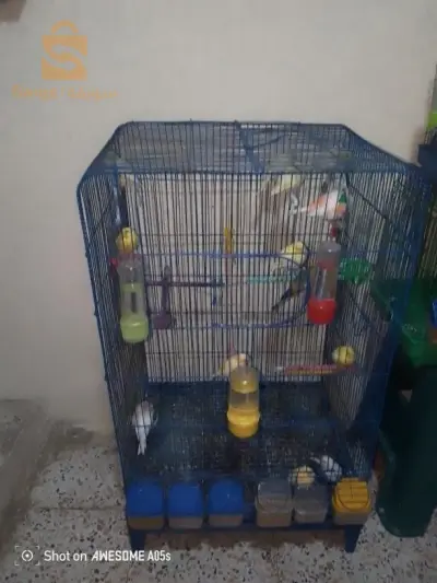 البيع
