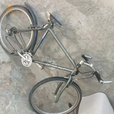 شلف شطية