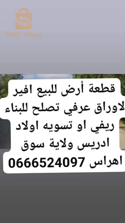 وسيط عقاري شط ولاية طارف
