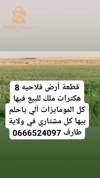 وسيط عقاري شط ولاية طارف 
ؤ0666524097
