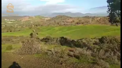 Route Amir Khaled Jalida