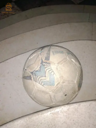 جيجل_طاهير