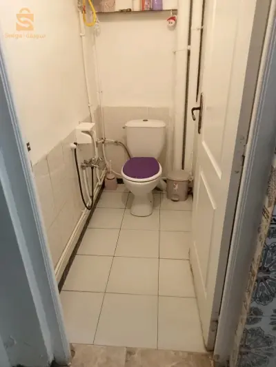 شقة