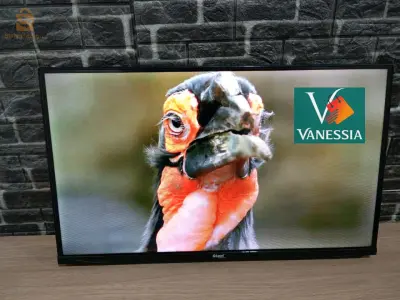 Téléviseur 32pgéant+support +démo