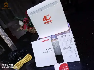 مودام للبيع حاجة مضيفة ماشي ماشي