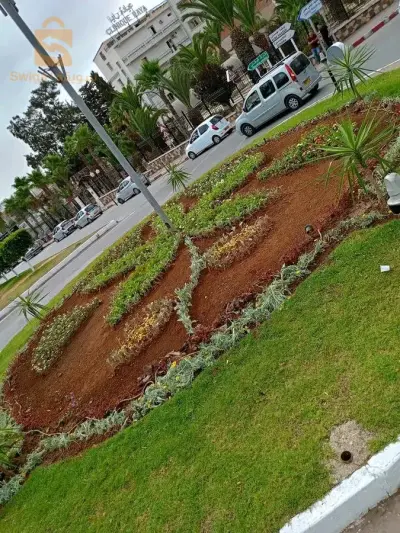 اولاد رحمون