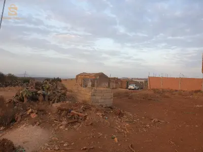 A Aïn El Arbaa, près de Sidi Safi