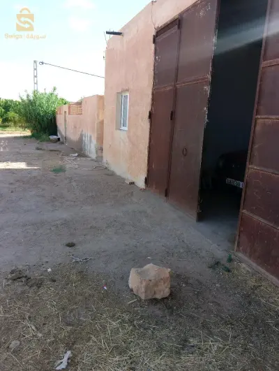 مزرعة