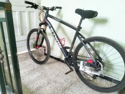 bitwin Rockrider 540
