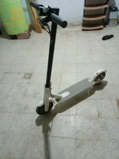 ابن باديس
