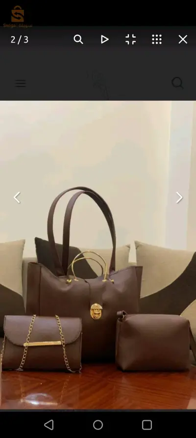 المدية