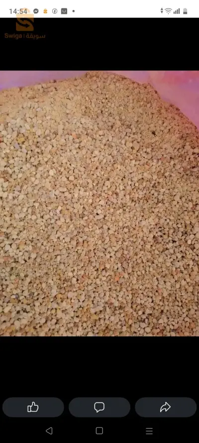 pollen