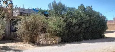 عبد الرحيم